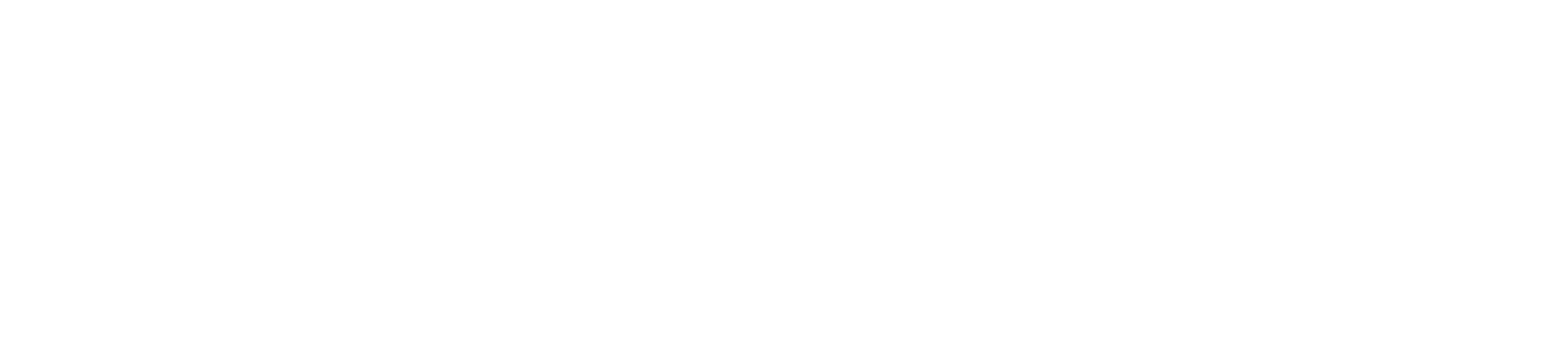 Lincoln Square Media logo